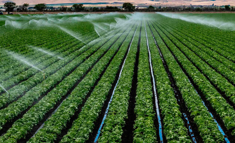 Realizarán en Fernández la 17ª Jornada Internacional de Fertirriego y Uso Eficiente del Agua