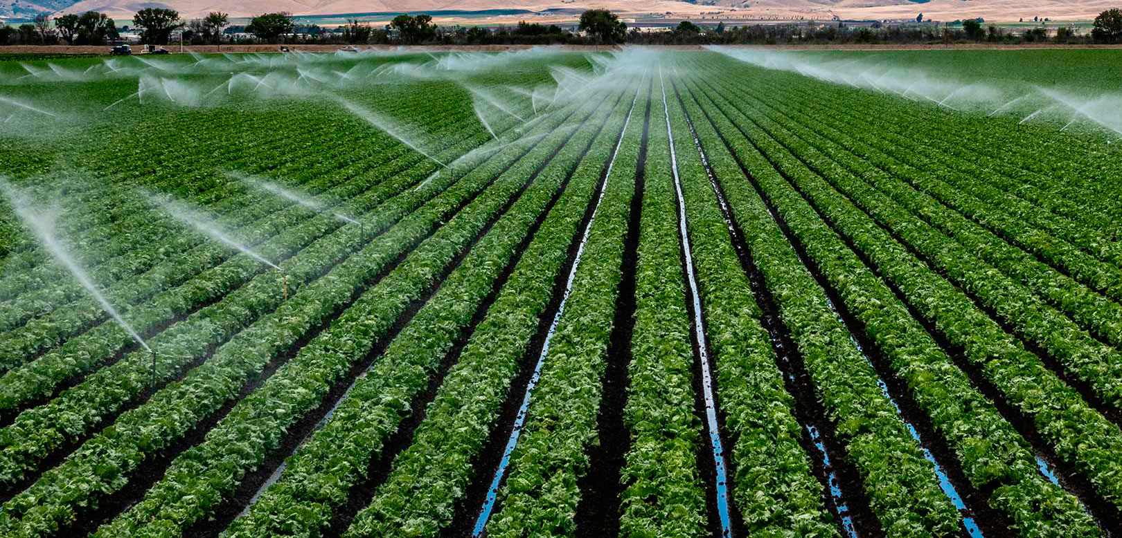 Realizarán en Fernández la 17ª Jornada Internacional de Fertirriego y Uso Eficiente del Agua