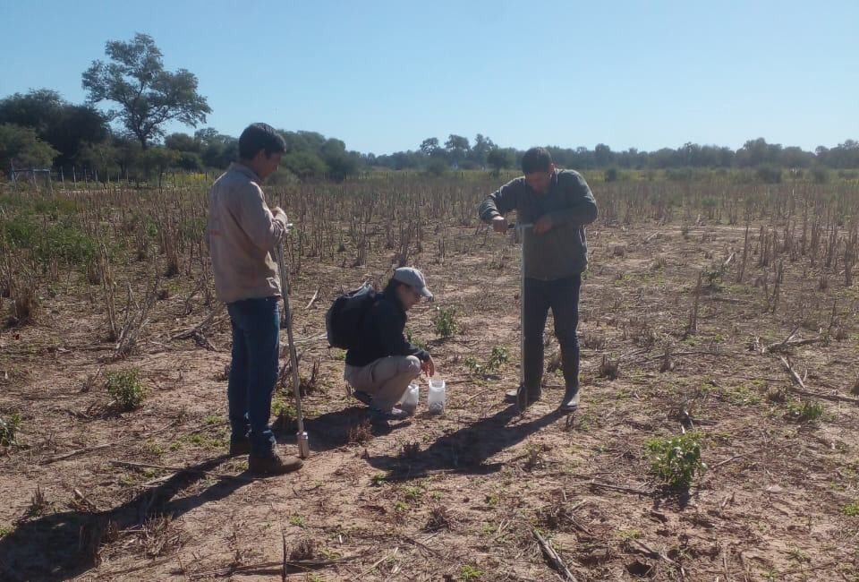El INTA avanza en estudios de suelo para fortalecer el manejo sustentable