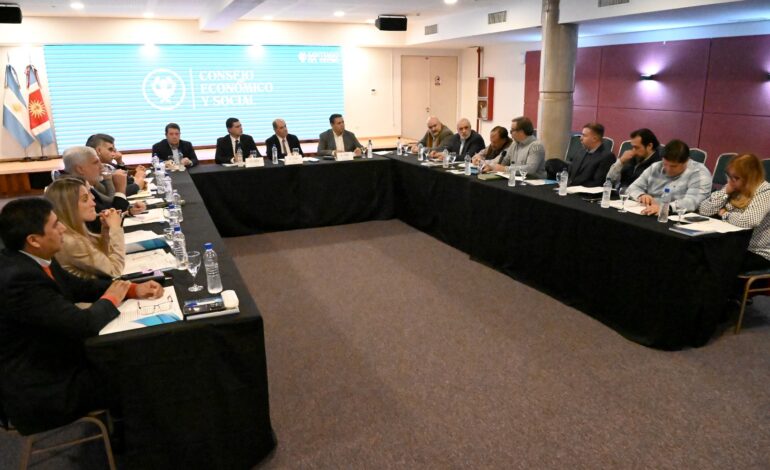 El Consejo Económico y Social se reunió con representantes del sector industrial