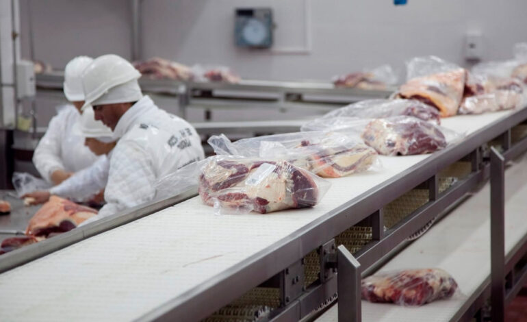 El acuerdo Mercosur-UE empieza a aplicarse de manera provisoria: proyectan un aumento del 80% en las exportaciones argentinas