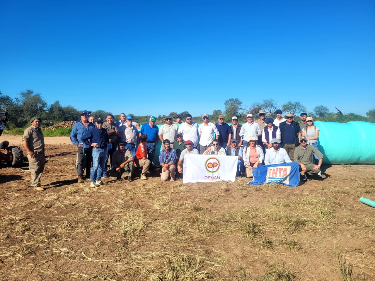 Innovación forrajera en Campo Gallo