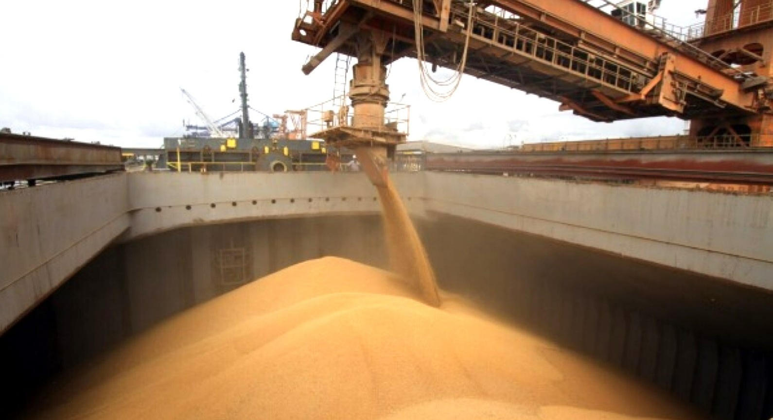 Exportaciones: Santiago del Estero superó el promedio nacional y se consolida en el NOA