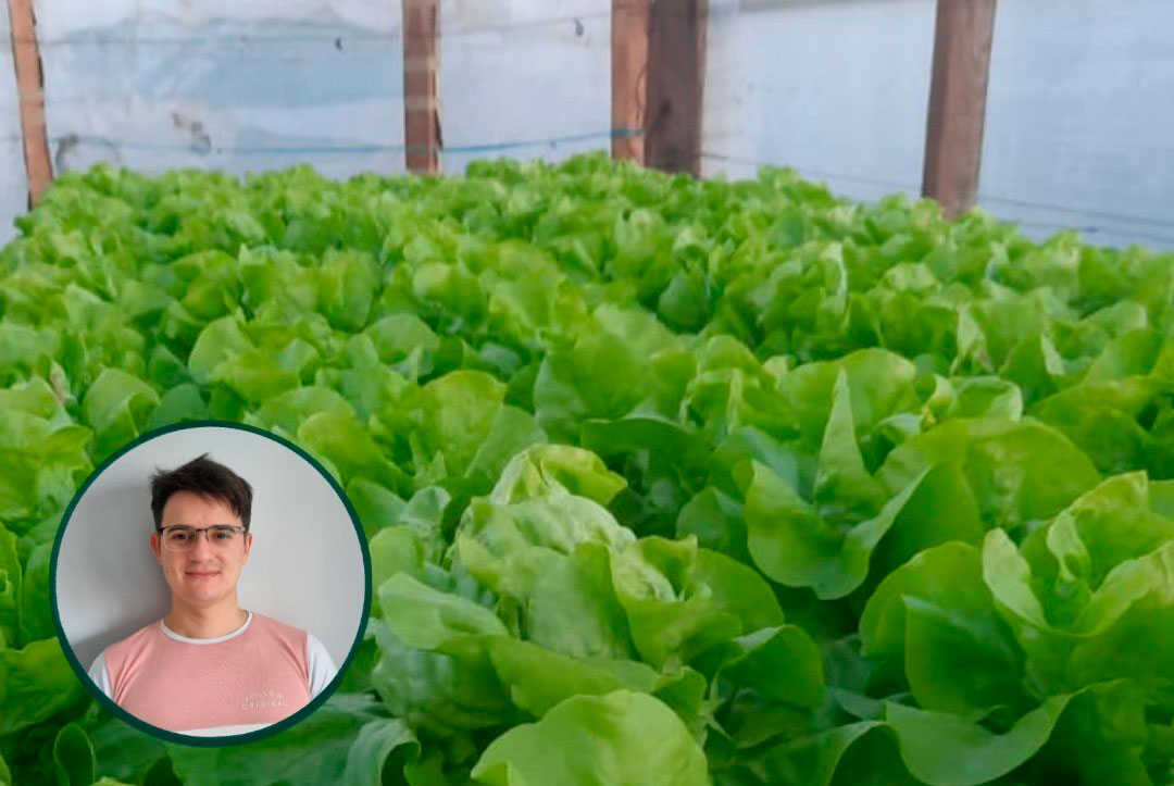 Del balcón al invernadero: el proyecto de un estudiante de la UNSE para producción sin tierra