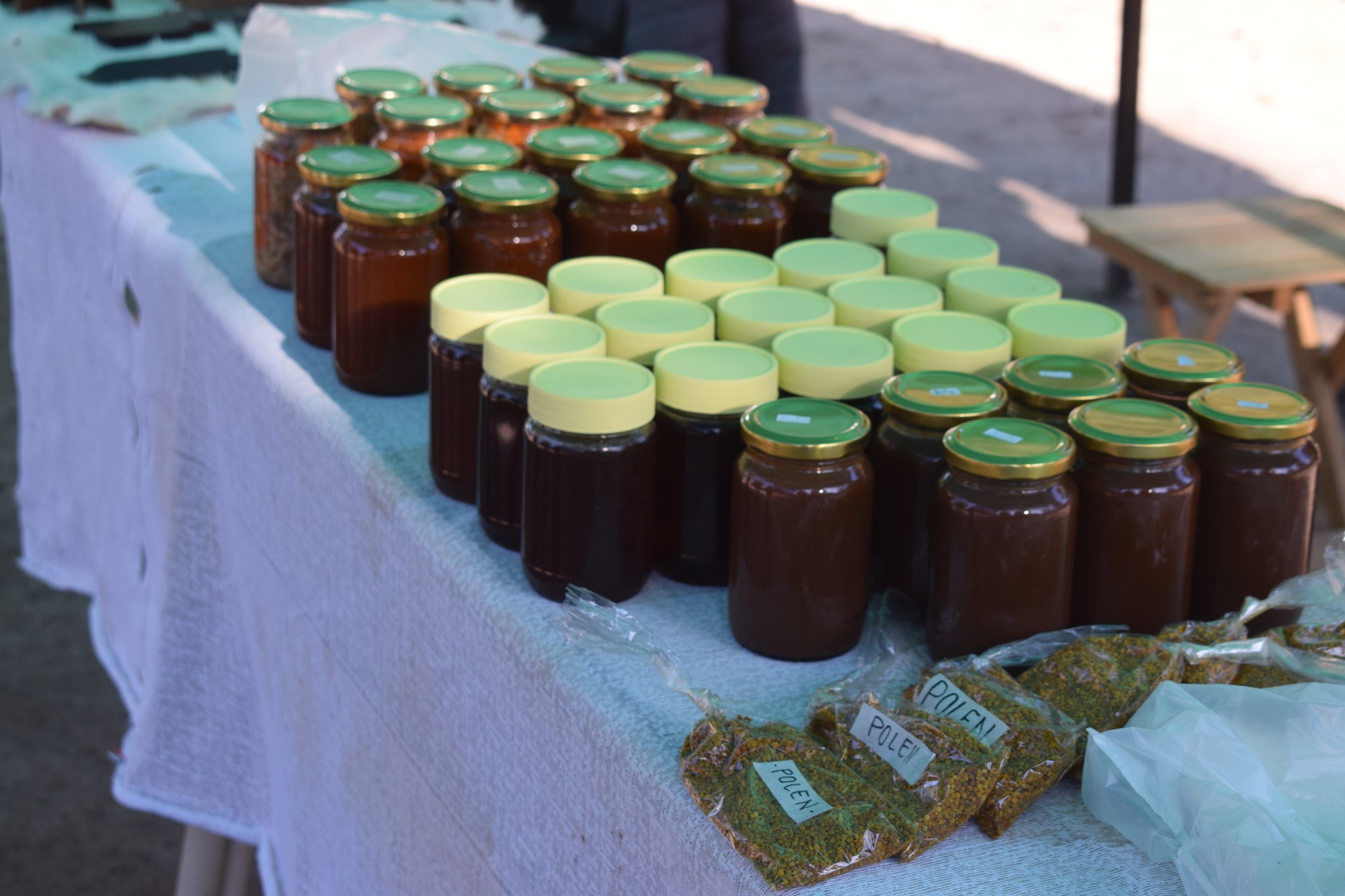 Exitosa Feria Apícola en Colonia Dora durante la Semana de la Miel