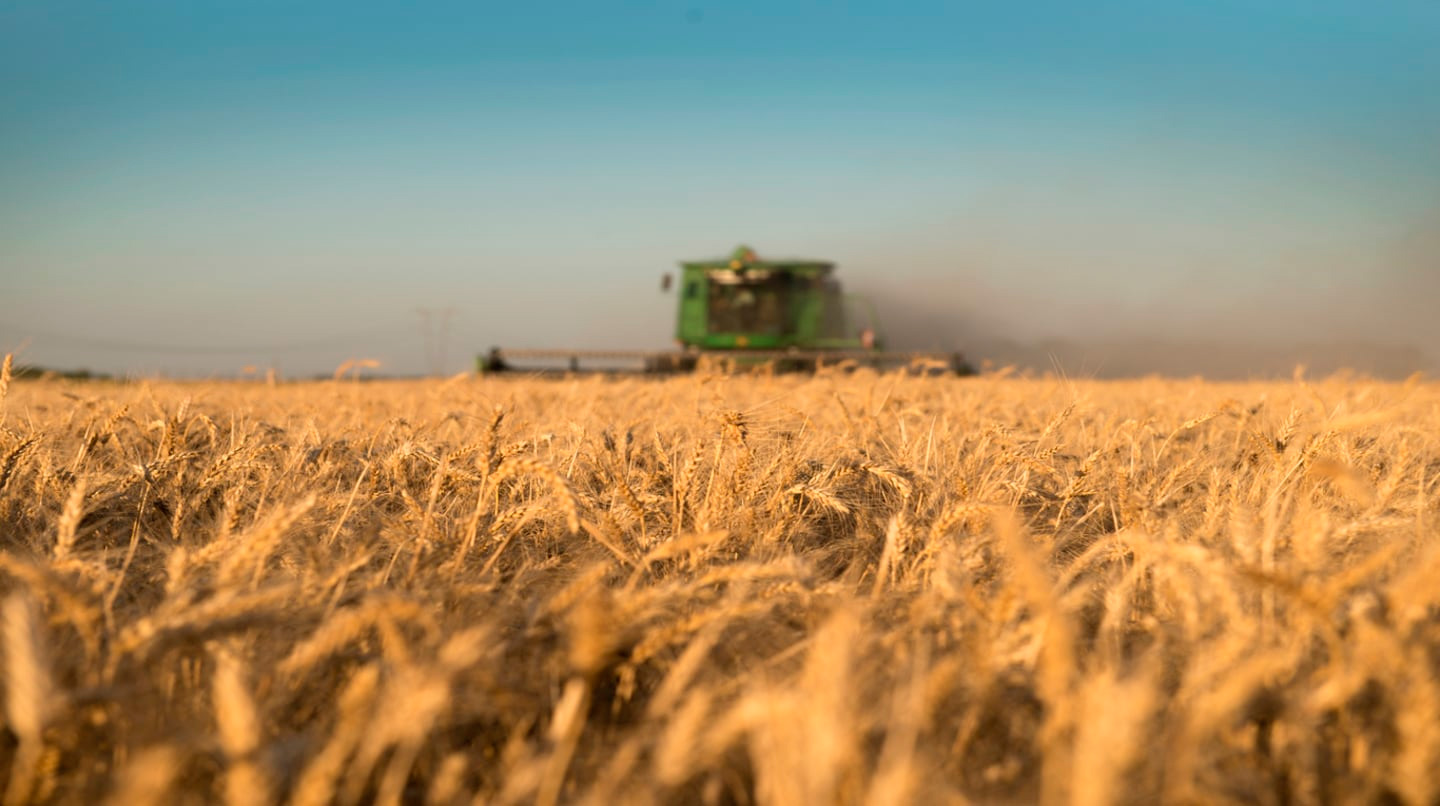 El financiamiento bancario al agro alcanzó un nivel récord y superó los $6 billones en 2025