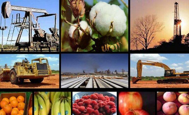 “Las economías regionales tienen productos con valor agregado que los mercados externos no conocen”