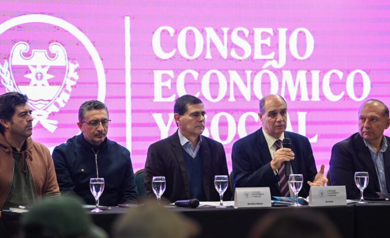 El Consejo Económico y Social se reunió con representantes de Agricultura Familiar y Economía Social
