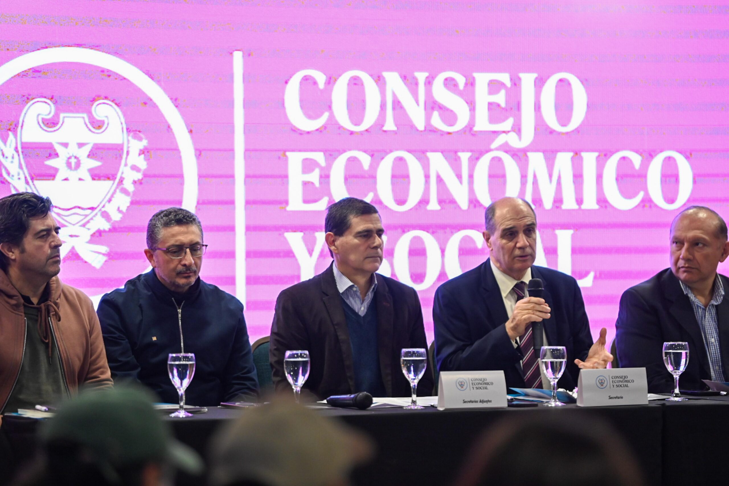 El Consejo Económico y Social se reunió con representantes de Agricultura Familiar y Economía Social