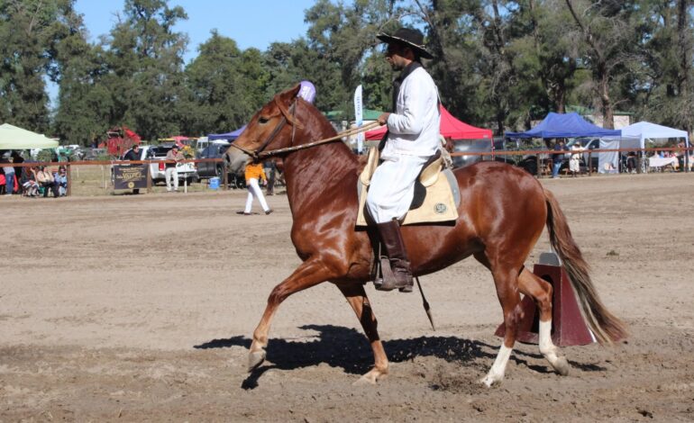 Santiago del Estero será sede del 10º Concurso Provincial del Caballo Peruano de Paso