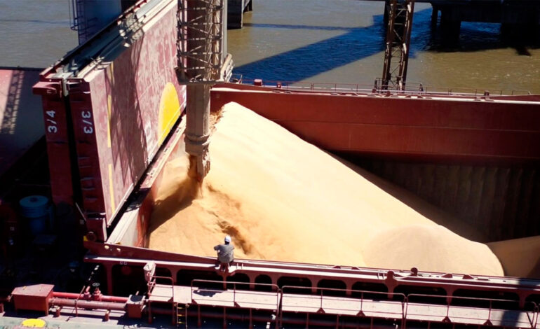 El agro aportó más de US$ 12.000 millones y lidera la entrada de divisas en un esquema exportador más diversificado