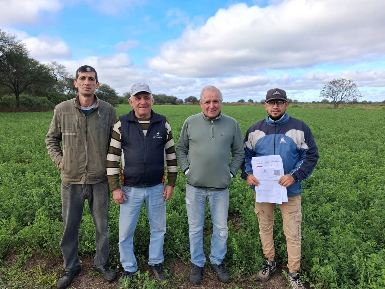 La Cooperativa Agrícola Avellaneda logró la producción de semillas fiscalizadas de alfalfa salinera