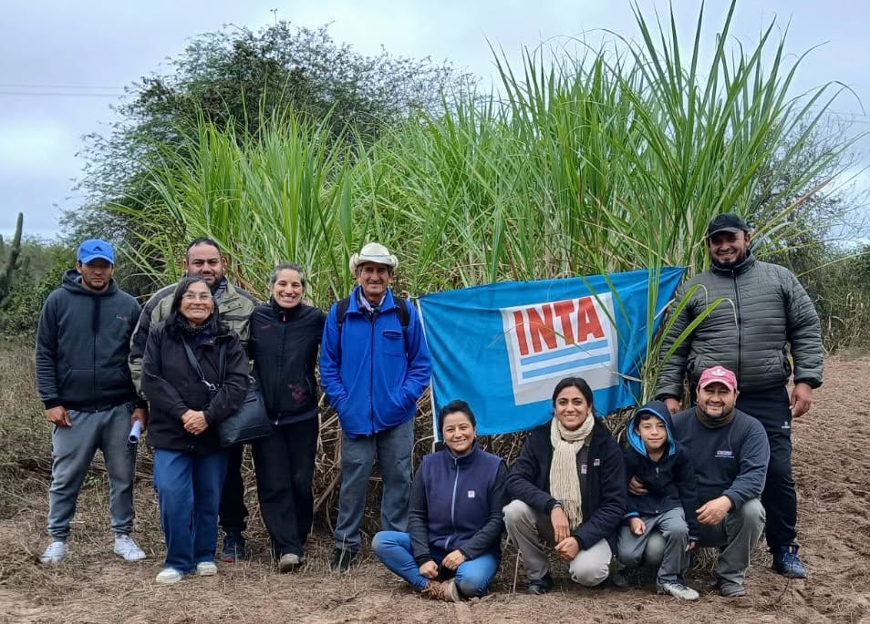 INTA promueve la siembra de verdeos de invierno para fortalecer la producción ganadera