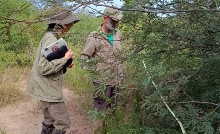 Investigación en el Parque Nacional Copo aporta nuevos conocimientos sobre el bosque chaqueño