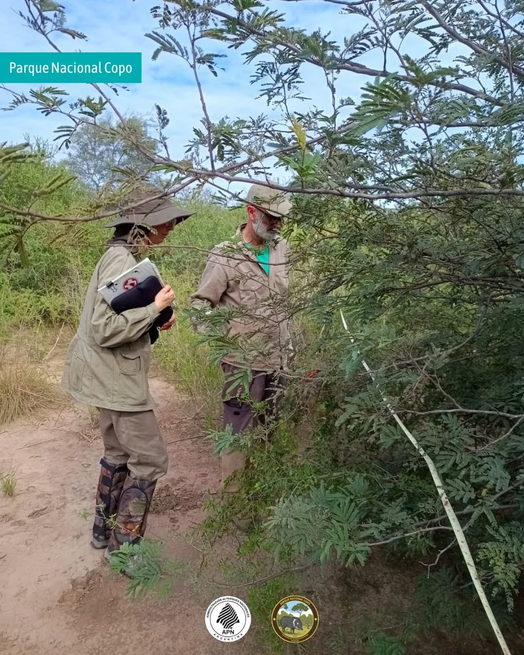 Investigación en el Parque Nacional Copo aporta nuevos conocimientos sobre el bosque chaqueño