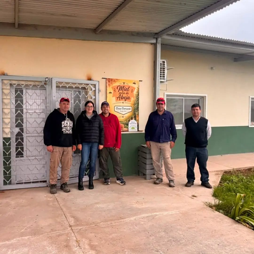 Avanza la habilitación de una nueva sala de extracción de miel en Colonia Jaime