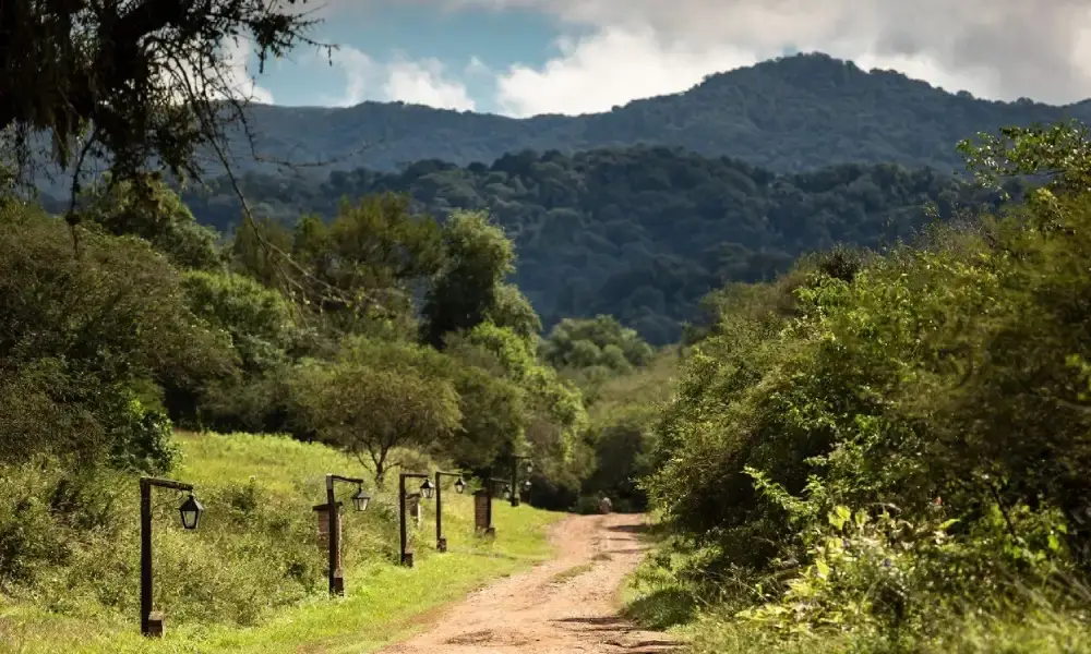 Parque Nacional Copo: entre quebrachales, fauna autóctona y la memoria del monte santiagueño