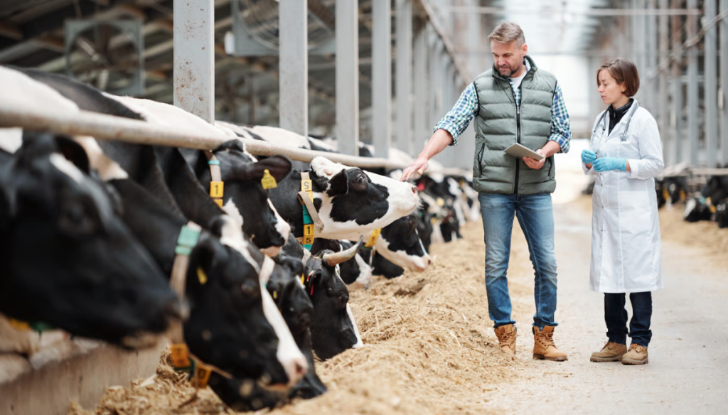 Monte Quemado será sede de una jornada de capacitación en sanidad animal