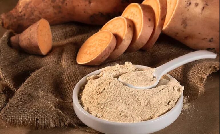 La UNSE impulsa un proyecto para producir harina de batata santiagueña