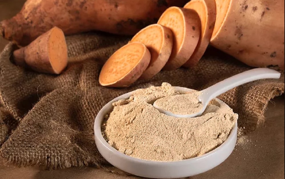 La UNSE impulsa un proyecto para producir harina de batata santiagueña
