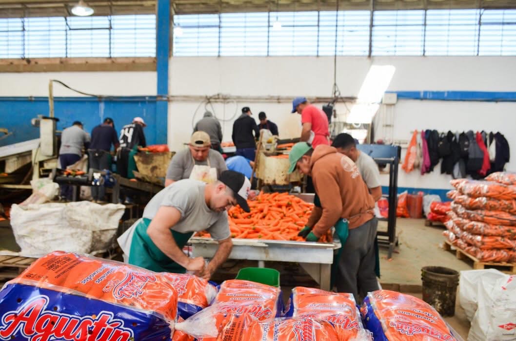 Producción y agregado de valor: impulso al desarrollo agropecuario