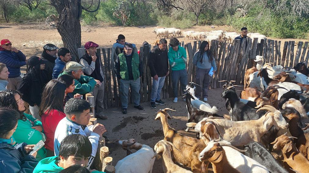 Santiago del Estero será sede de las 4ª Jornadas de Ganadería Caprina Agroecológica del NOA