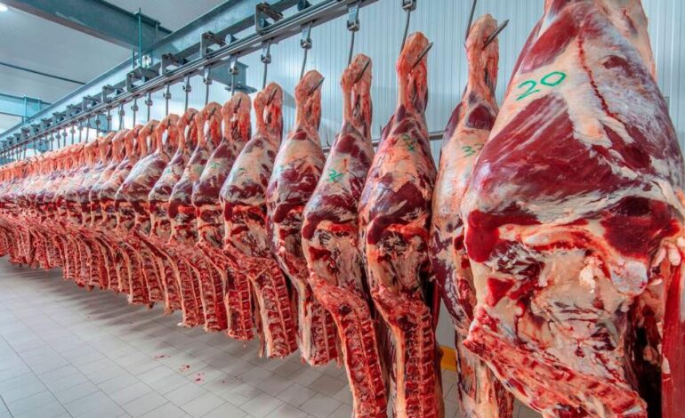 Trump dejó afuera a la Argentina del nuevo cupo de 300.000 toneladas de carne que importará Estados Unidos