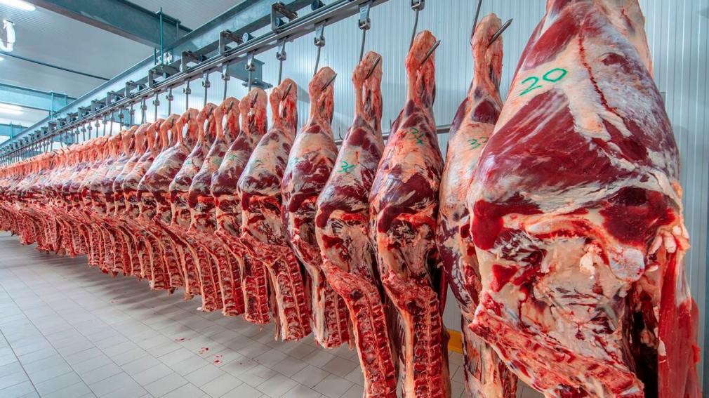 Trump dejó afuera a la Argentina del nuevo cupo de 300.000 toneladas de carne que importará Estados Unidos