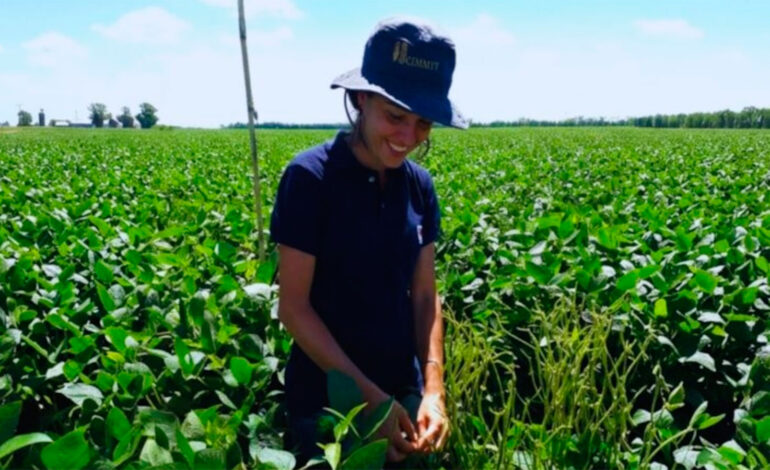 Soja bajo la lupa: menos hojas, más impacto sobre la calidad del grano