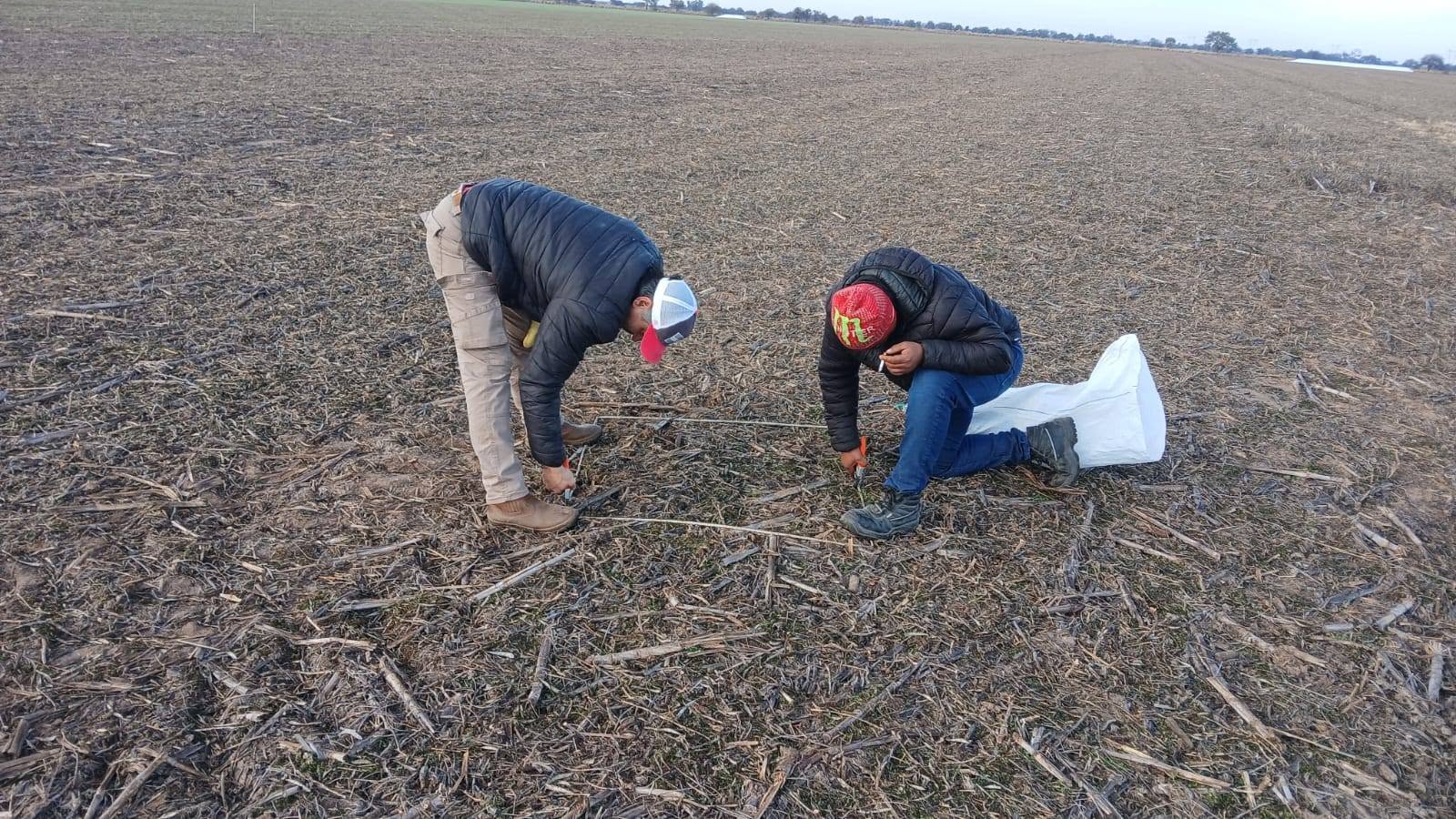 Avanza un proyecto para optimizar el uso del agua en la producción agrícola del sudoeste santiagueño