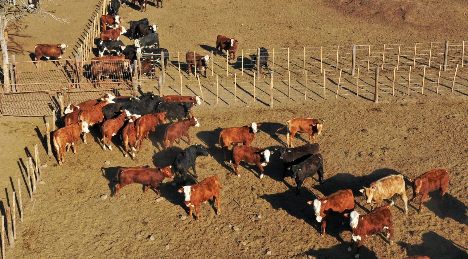Fortalecen los controles ambientales para acompañar la producción sustentable
