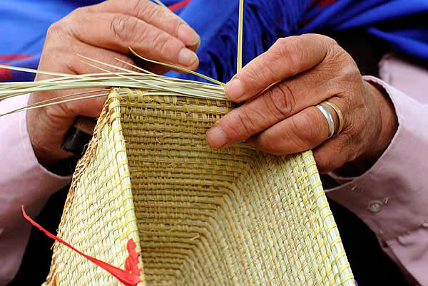 La UNSE trabaja en un proyecto para rescatar una especia nativa y preservar saberes ancestrales