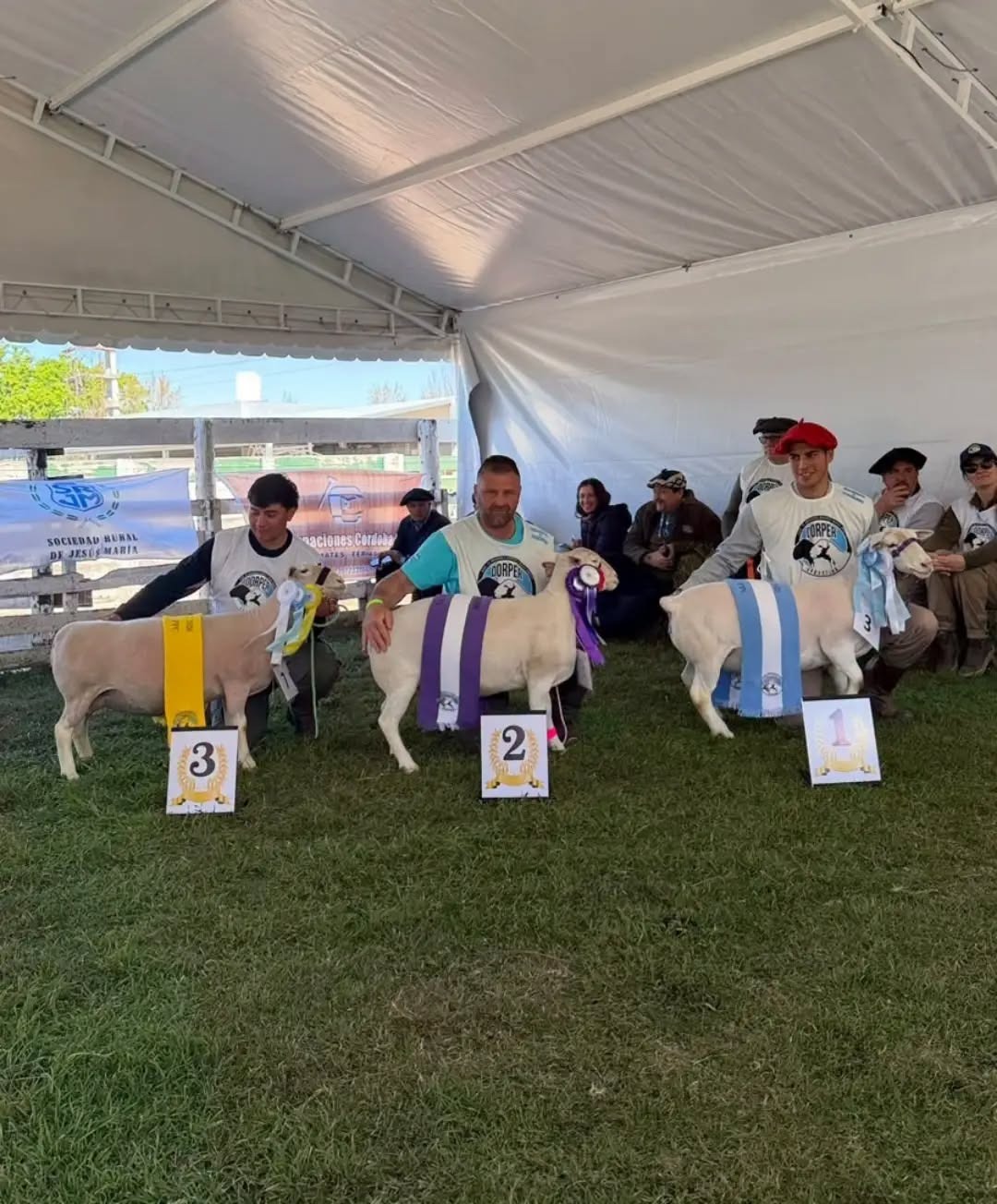 Ovino santiagueño de Cabaña La Celia se consagró “Gran Campeón”