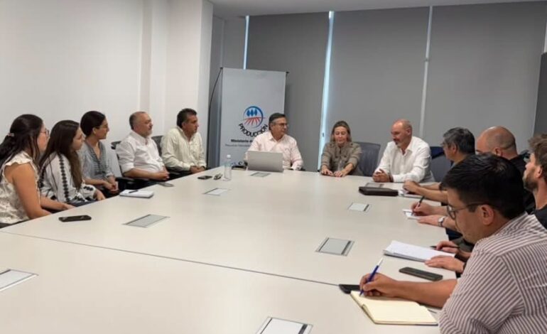 Producción y agregado de valor: la provincia fortalece las cadenas productivas junto al CFI