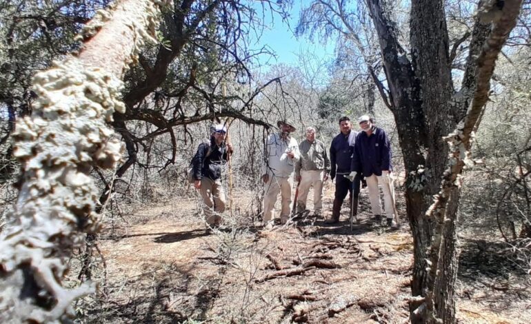Drones, satélites e inteligencia artificial: nuevas herramientas para medir la biomasa del monte nativo