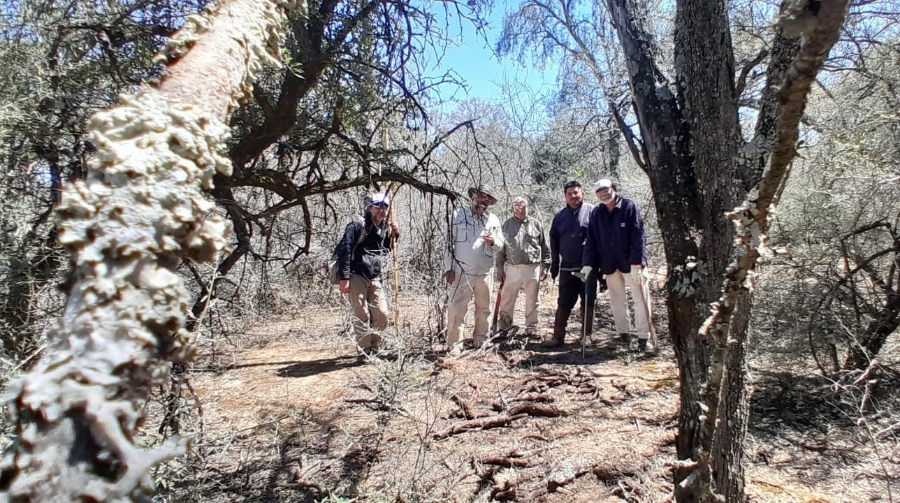Drones, satélites e inteligencia artificial: nuevas herramientas para medir la biomasa del monte nativo