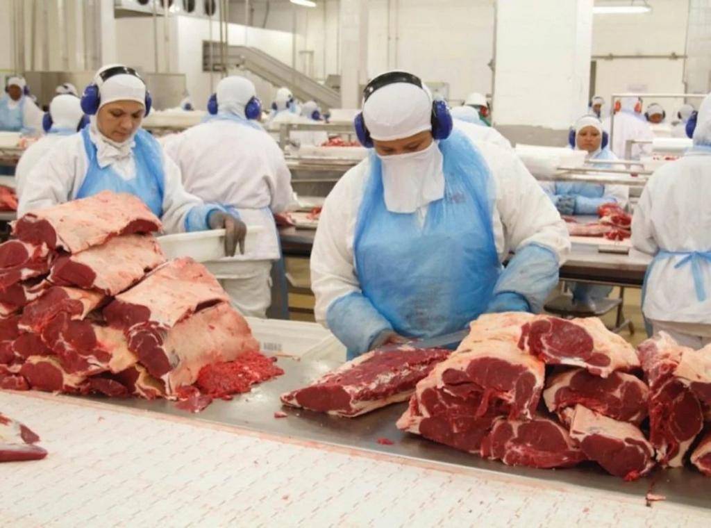 Realizarán una jornada ganadera sobre producción y requisitos para exportar carne a la Unión Europea