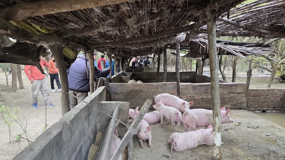 Producción, diversificación y trabajo en red: una jornada para fortalecer sistemas familiares sostenibles