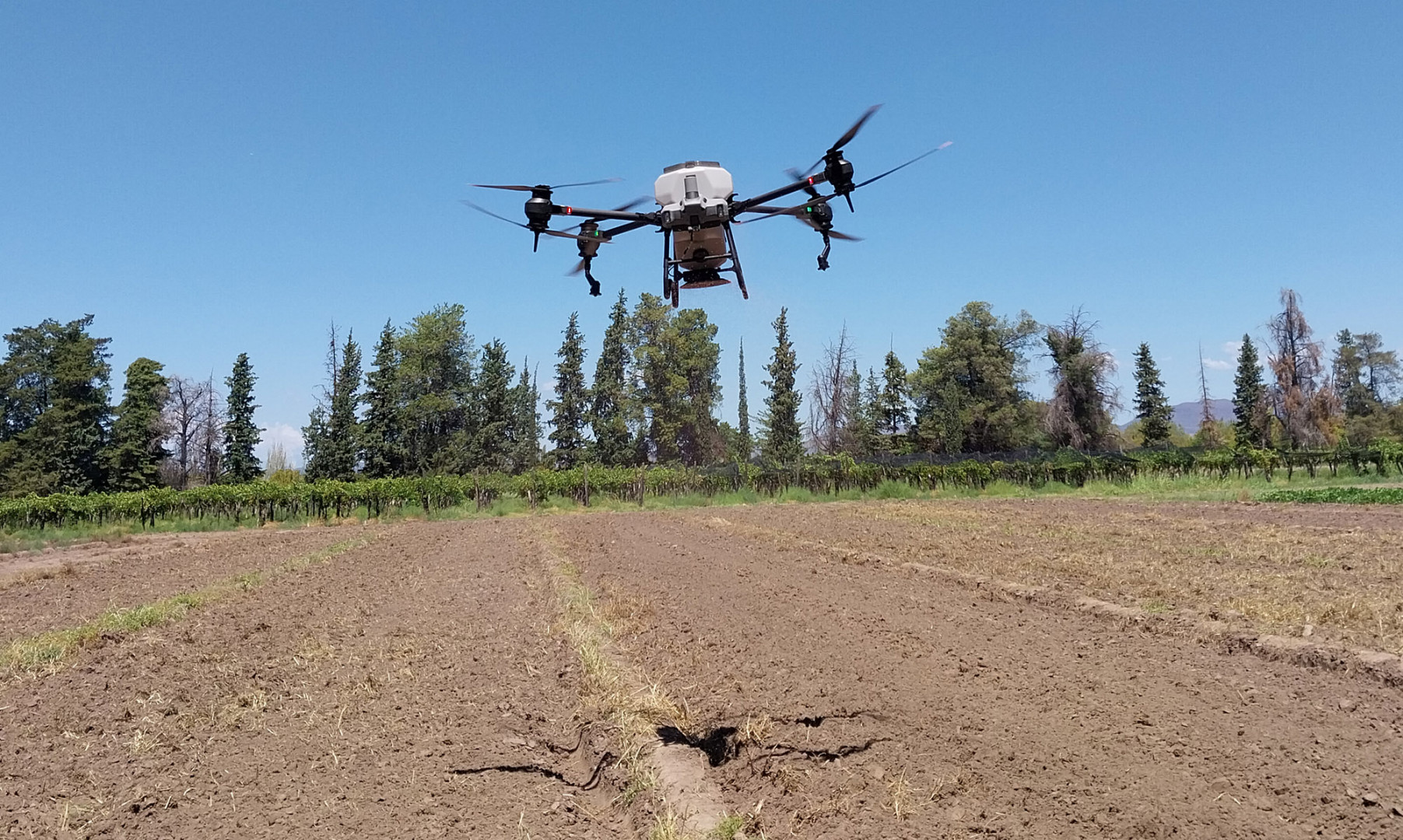 Preparan una jornada a campo en Isca Yacu para mostrar nuevas tecnologías de intensificación agrícola y siembra con drones