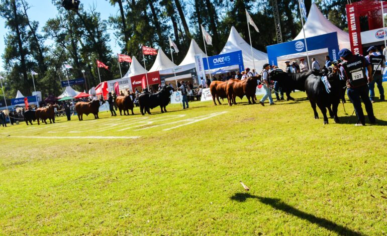 La jura de machos fue protagonista en la segunda jornada de la 19ª ExpoBRA