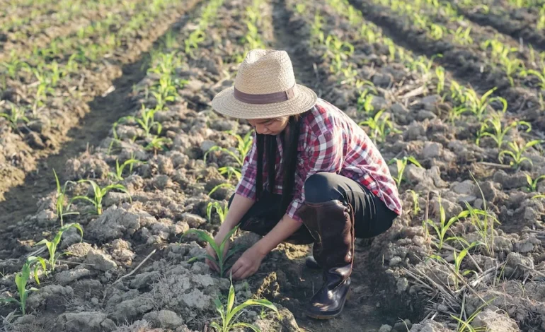 Mujeres rurales del Salado Norte fortalecen el acceso al agua para uso productivo y comunitario