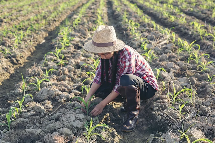 Mujeres rurales del Salado Norte fortalecen el acceso al agua para uso productivo y comunitario