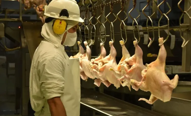 Granja Tres Arroyos frenó la producción en una de sus plantas y crece la incertidumbre sobre su futuro