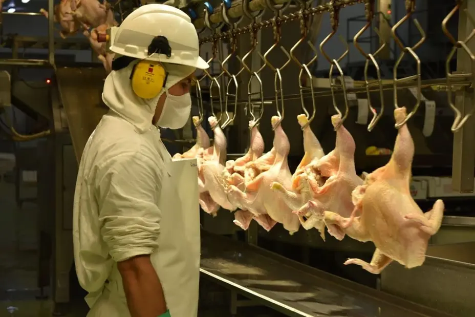 Granja Tres Arroyos frenó la producción en una de sus plantas y crece la incertidumbre sobre su futuro