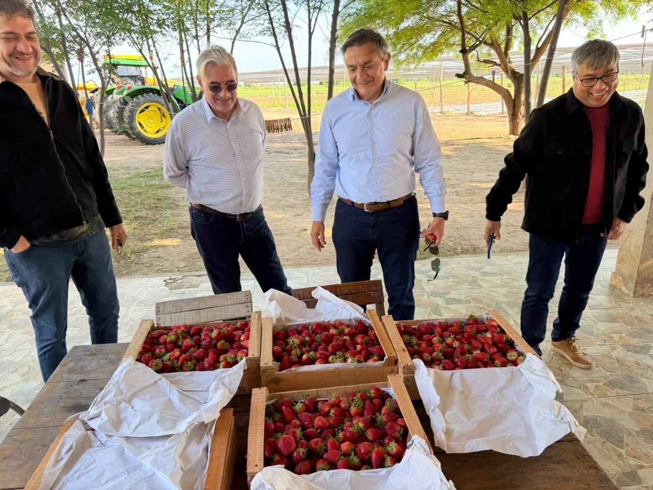 Impulsan la producción de frutilla y la diversificación agrícola en La Banda