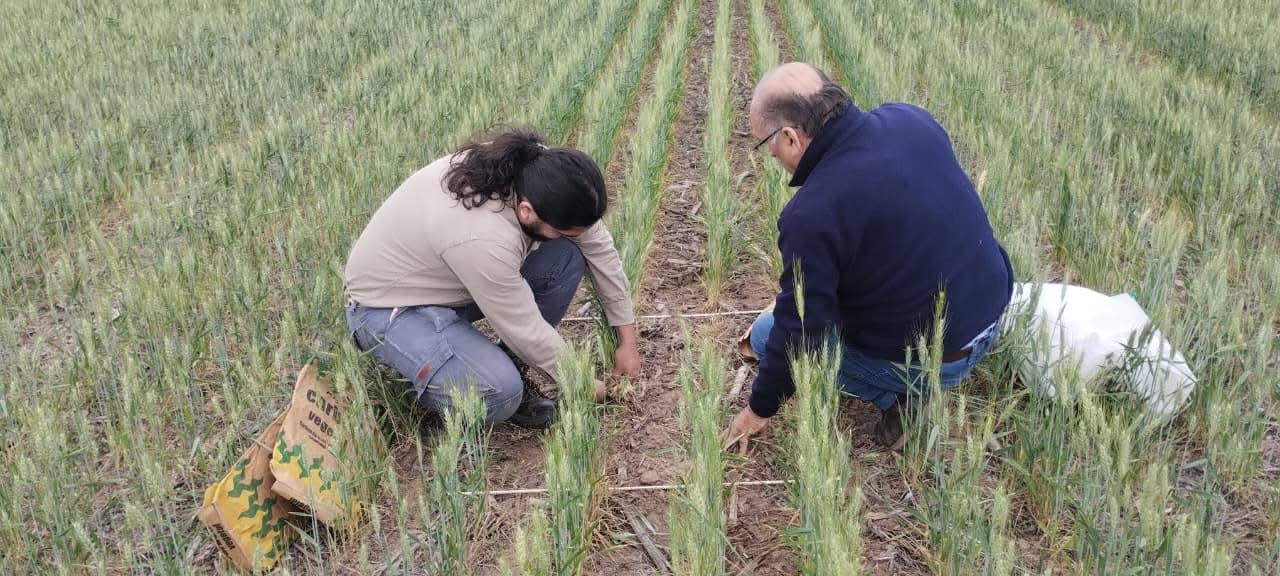 INTA y productores avanzan en el uso eficiente del agua en los sistemas agrícolas