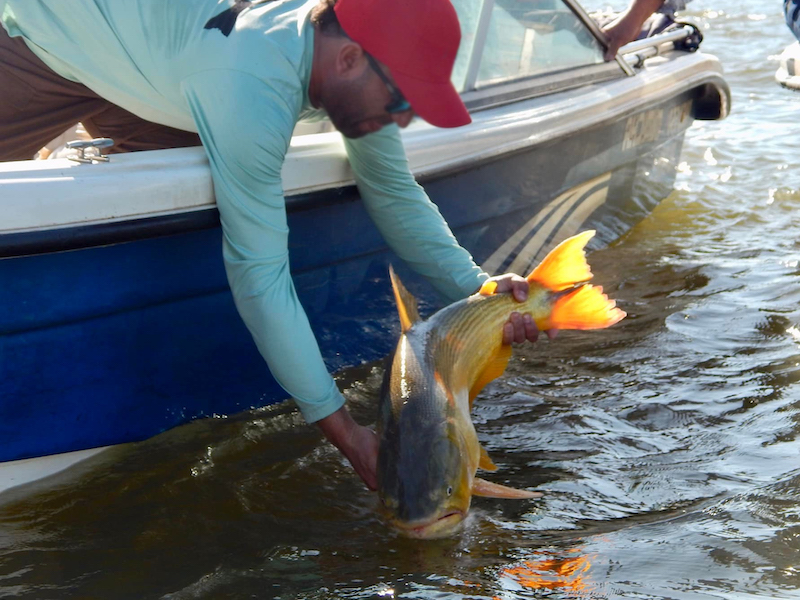Las Termas apuesta al turismo deportivo con el primer Concurso Nacional de Pesca del Dorado con Devolución