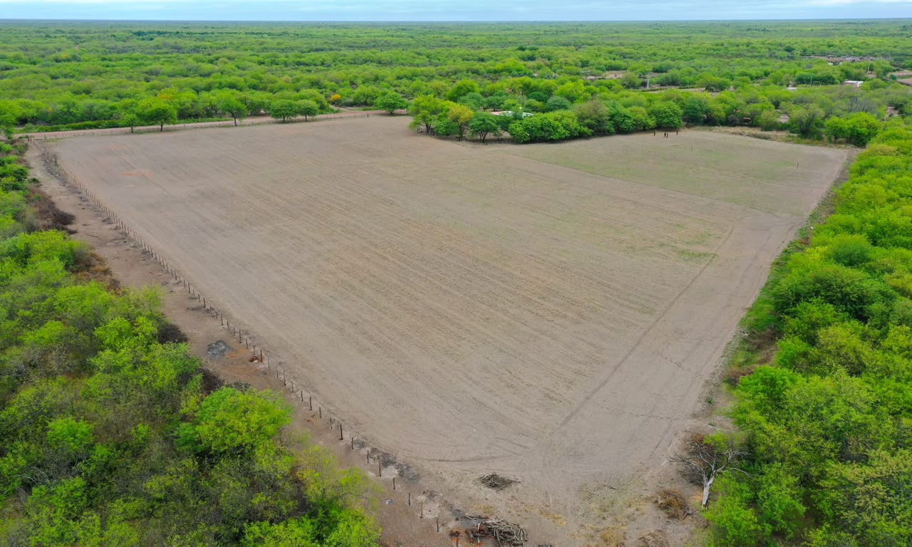 La provincia incorpora tecnología de nivelación láser para optimizar el acondicionamiento de los suelos