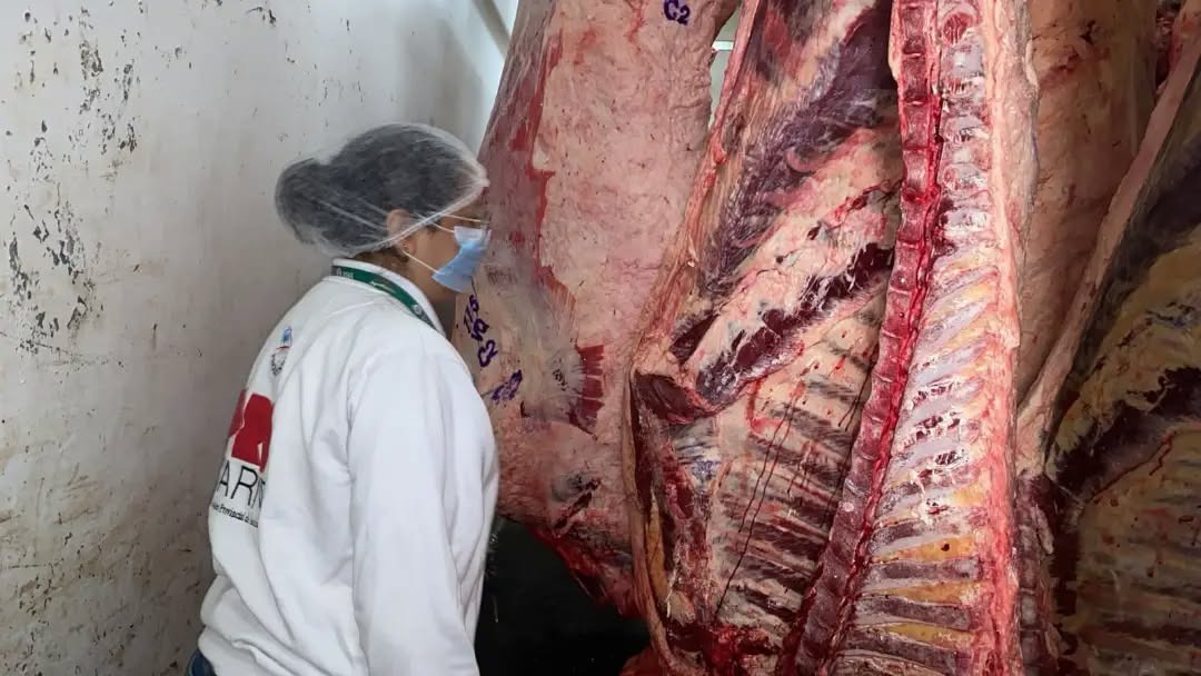 ProCarne refuerza los controles en locales de expendio de productos cárnicos