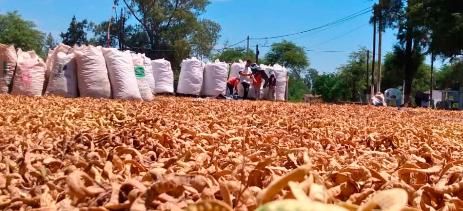 Oro del Estero: una pyme santiagueña que transforma frutos del monte en alimentos con valor agregado